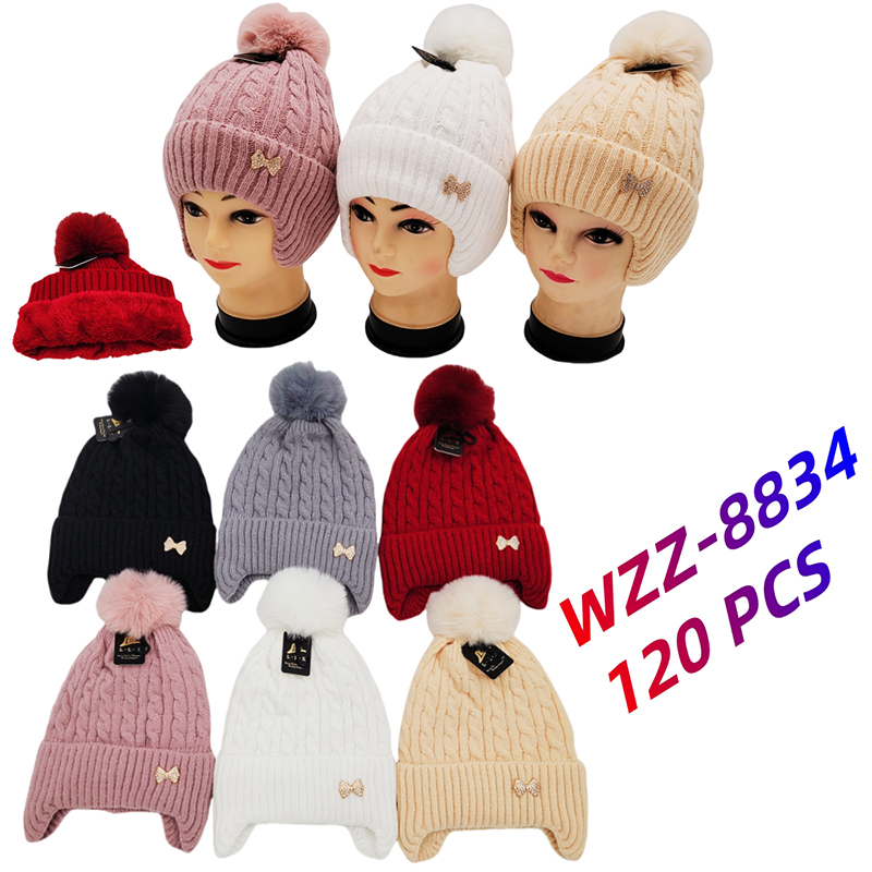 WZZ-8834 CS120